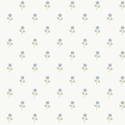 Anemone 6974