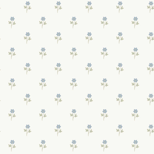 Anemone 6974