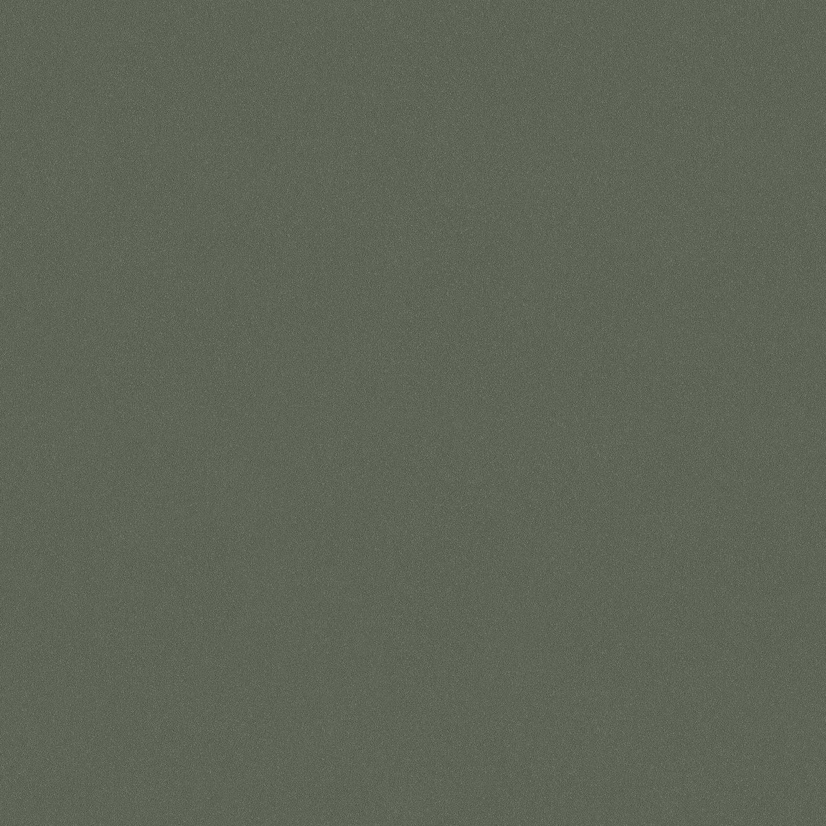 Forest Sand 7592