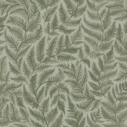 Ferns 7792