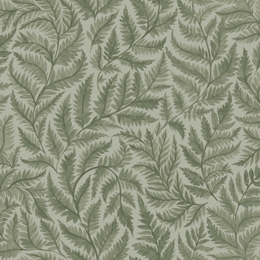 Ferns 7792