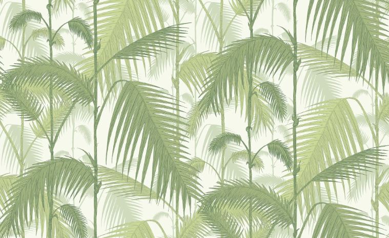 Palm Jungle  95/1001