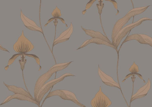 Orchid 95/10056