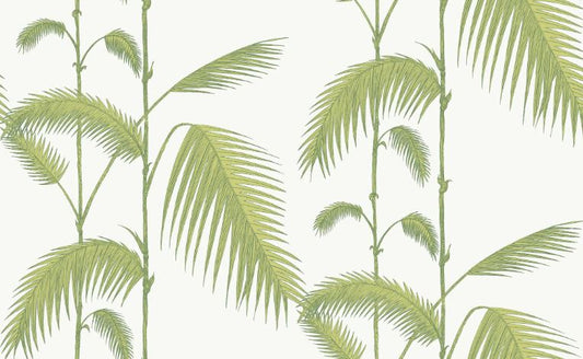 Palm  95/1009