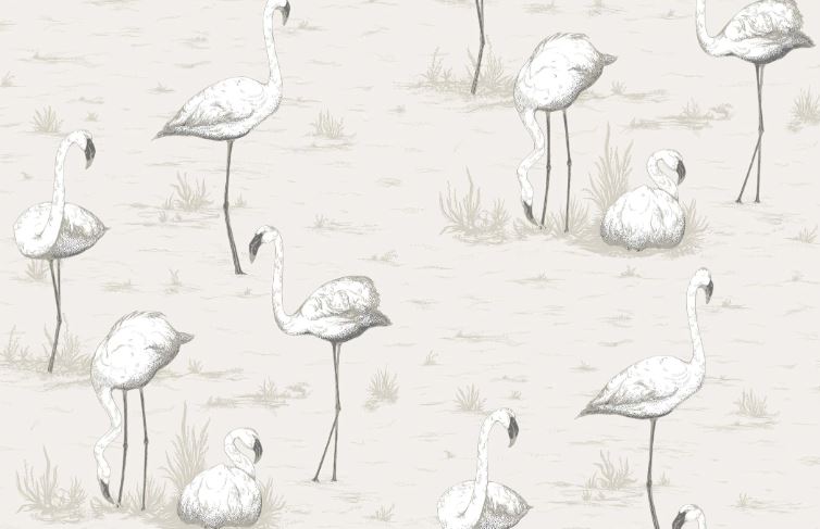 Flamingos  95/8046