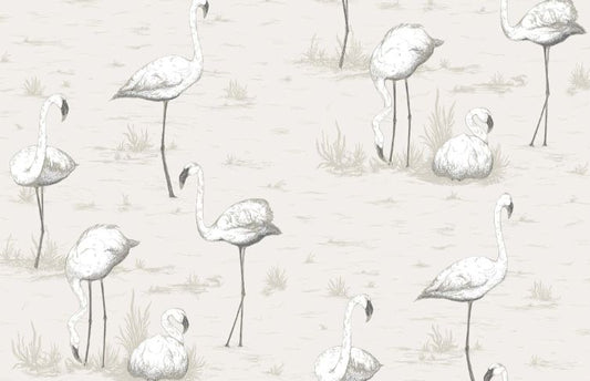 Flamingos  95/8046