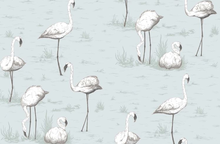 Flamingos  95/8047