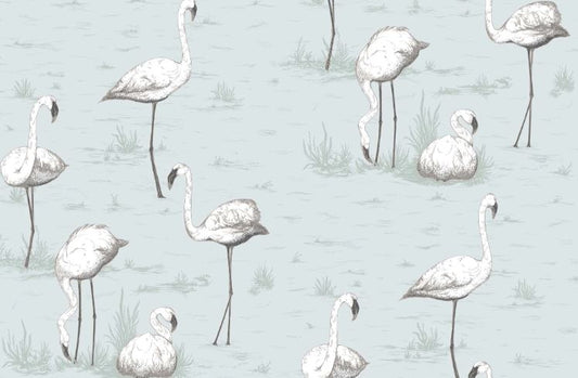 Flamingos  95/8047