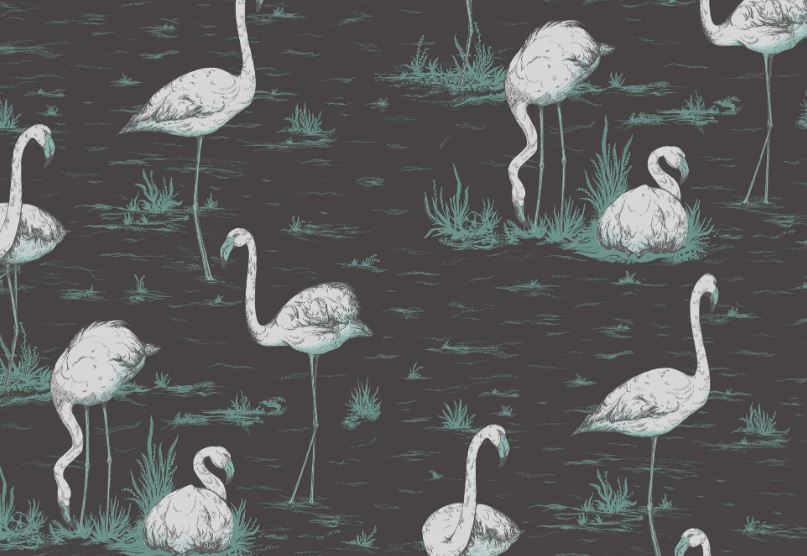 Flamingos  95/8048