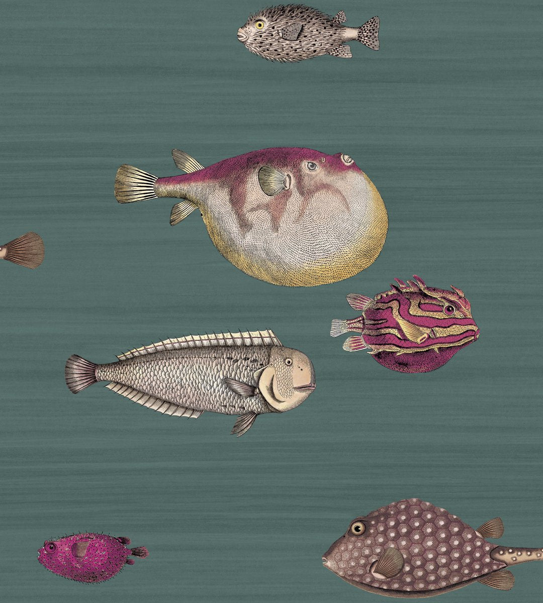Acquario 114/12024