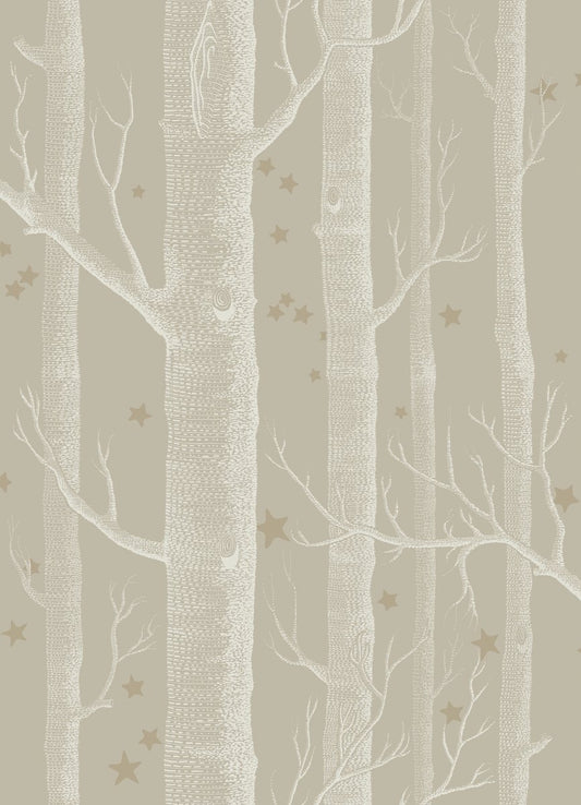 Woods And Stars 103/11047