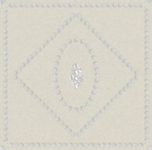 Conchiglie 123/5024