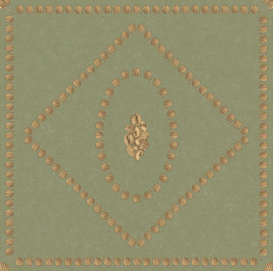 Conchiglie 123/5026