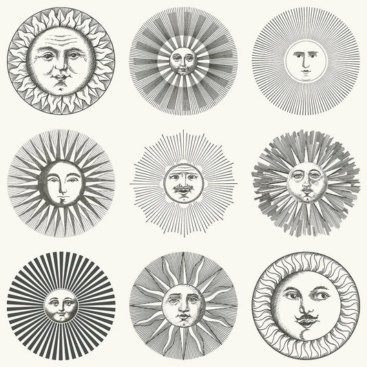 Soli 123/1001