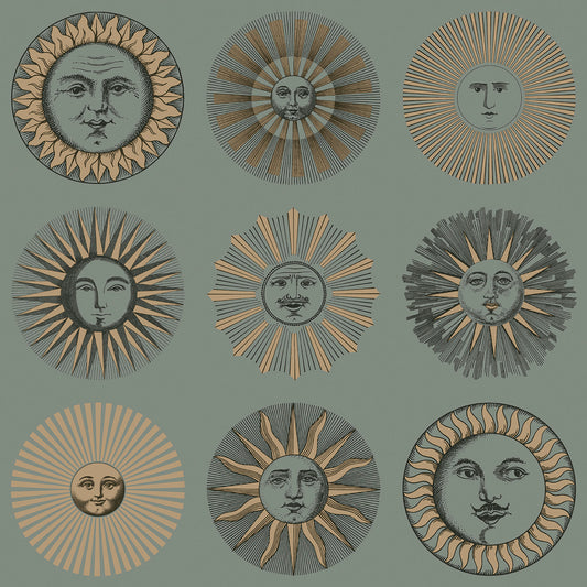 Soli 123/1003