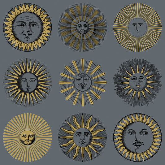 Soli 123/1004