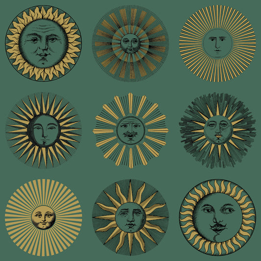 Soli 123/1005