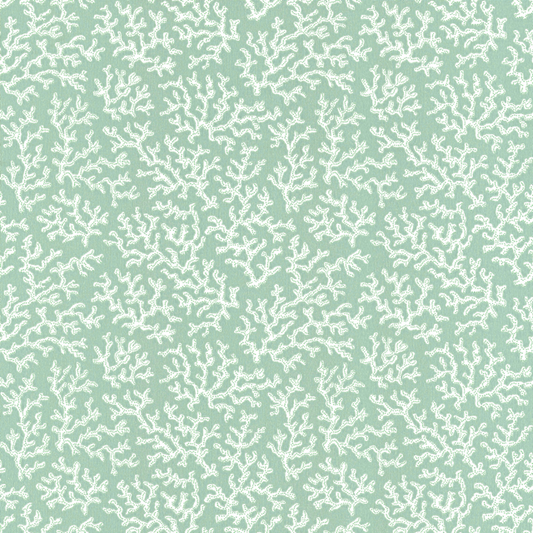 Coral 39-55