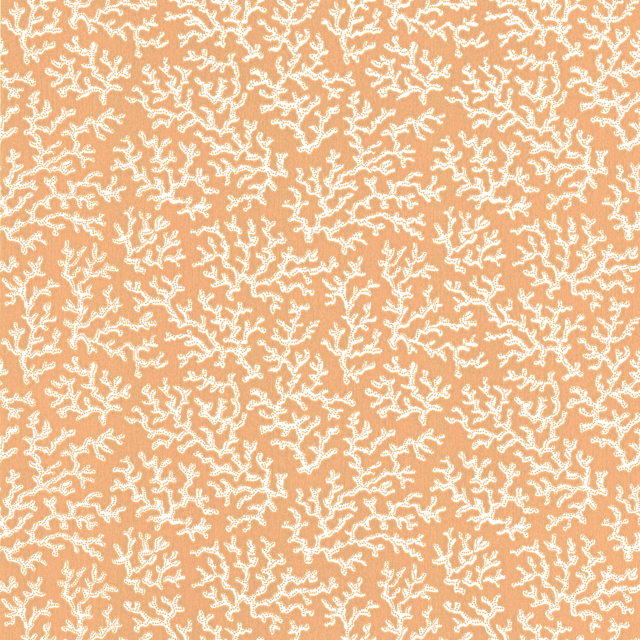 Coral 39-58