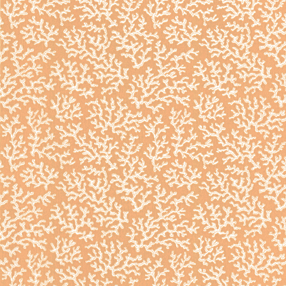 Coral 39-58