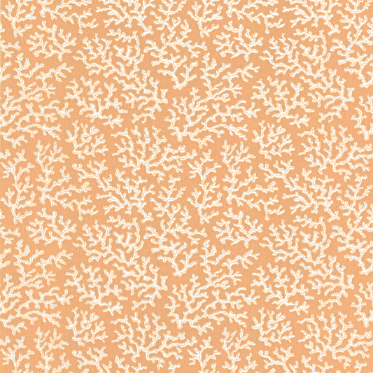Coral 39-58