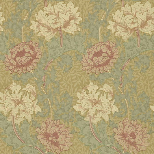 Chrysanthemum 216860