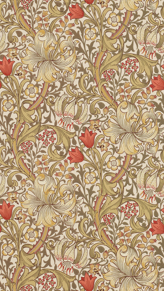 Golden Lily 216869