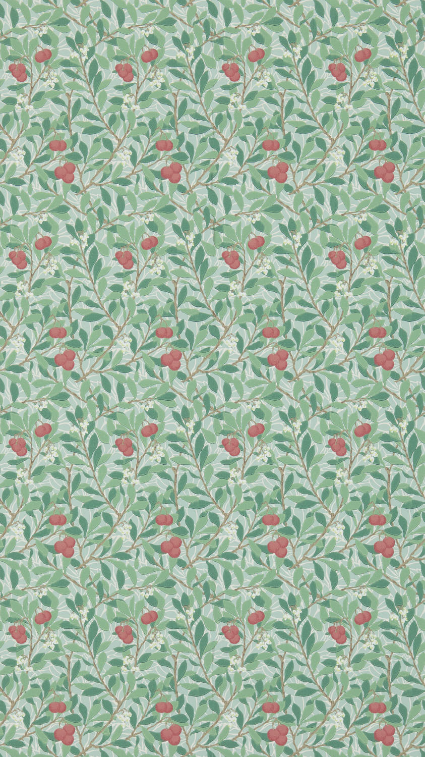 Arbutus 214719