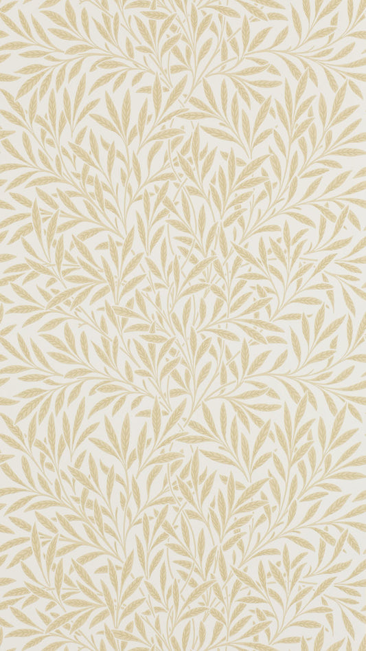Willow 210385