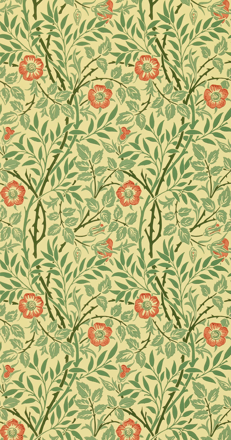 Sweet Briar DMC130101 (210478)