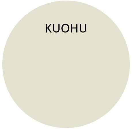 BIORA 20 Puolihimmeä sisustusmaali (Värituvan omat sävyt 15 kpl)
