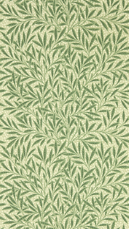 Emery‘s Willow 217184