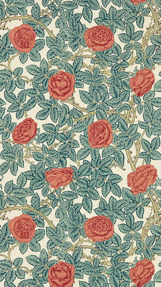 Rambling Rose 217206