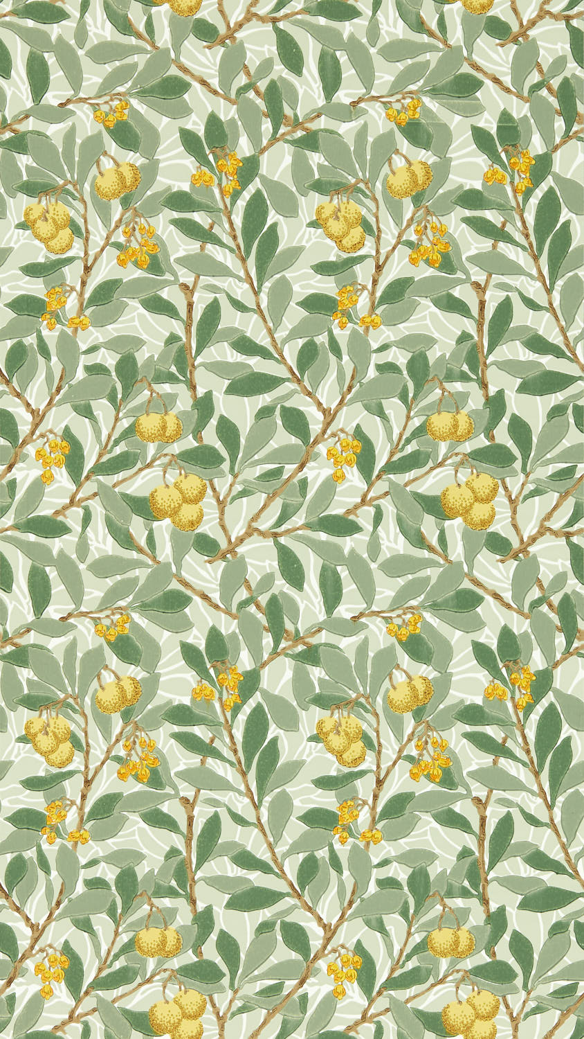 Arbutus 217356