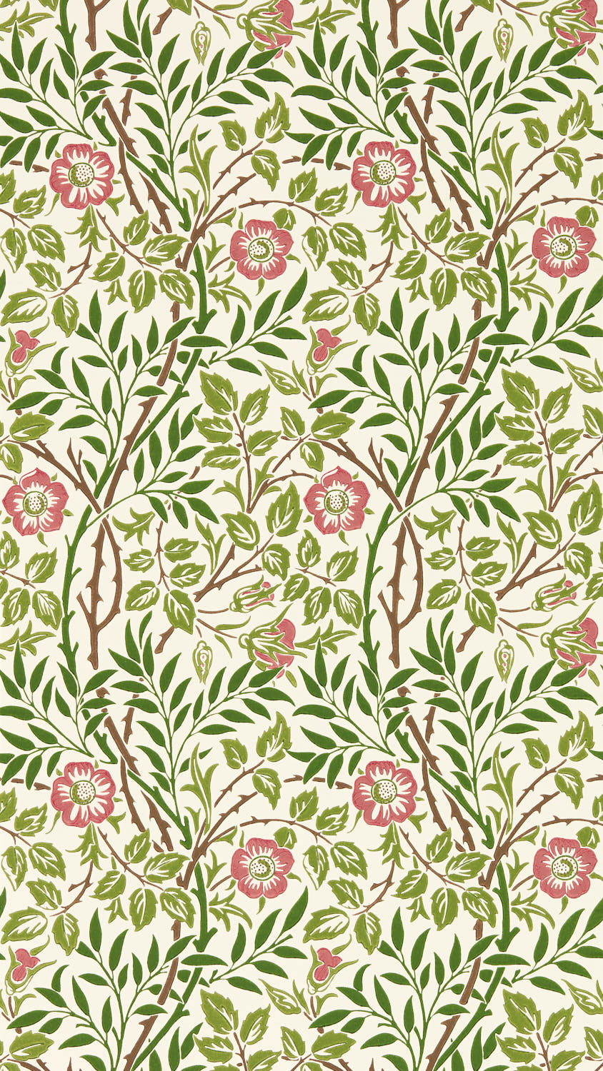 Sweet Briar 217370