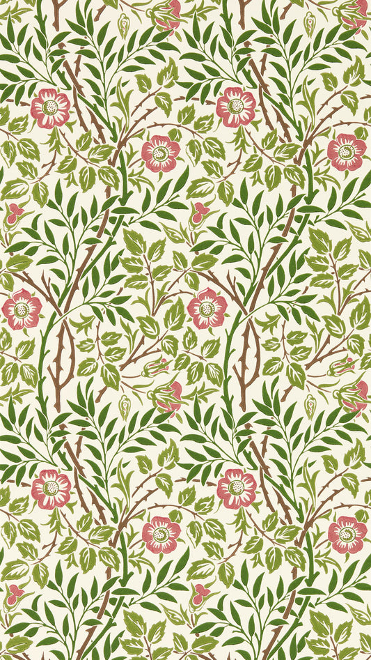 Sweet Briar 217370