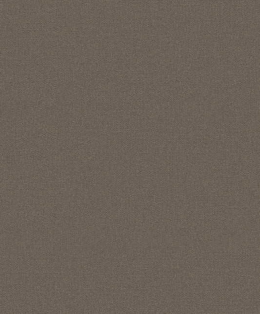Plain Texture MX88093