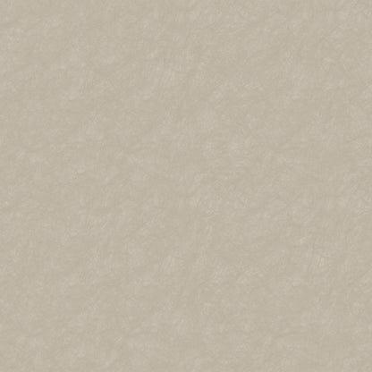 Plain Texture MX88132