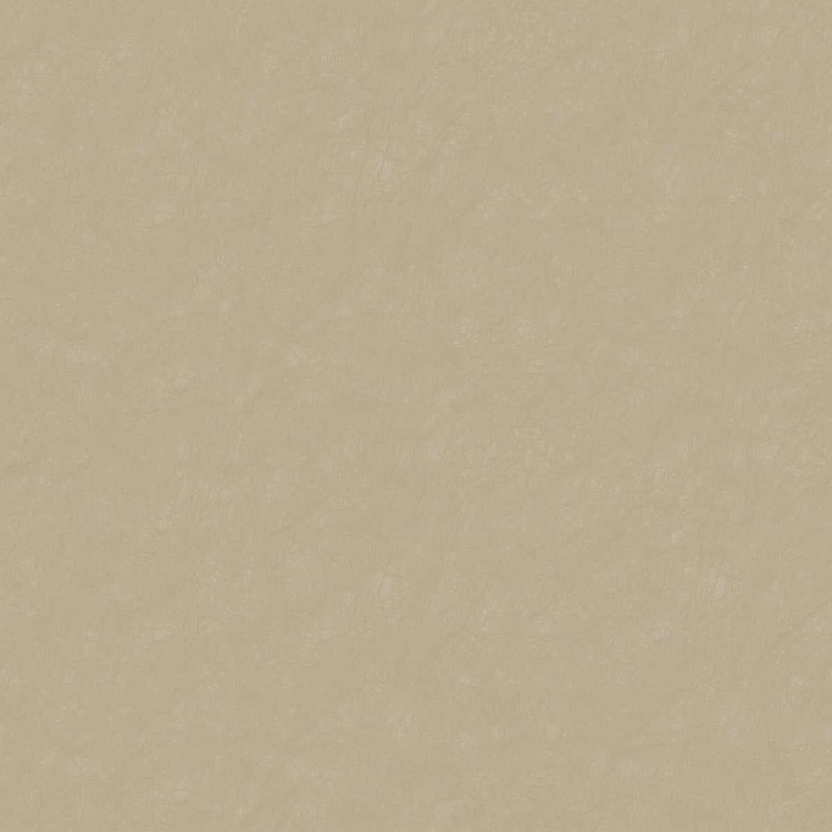 Plain Texture MX88133