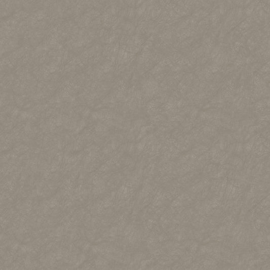 Plain Texture MX88136