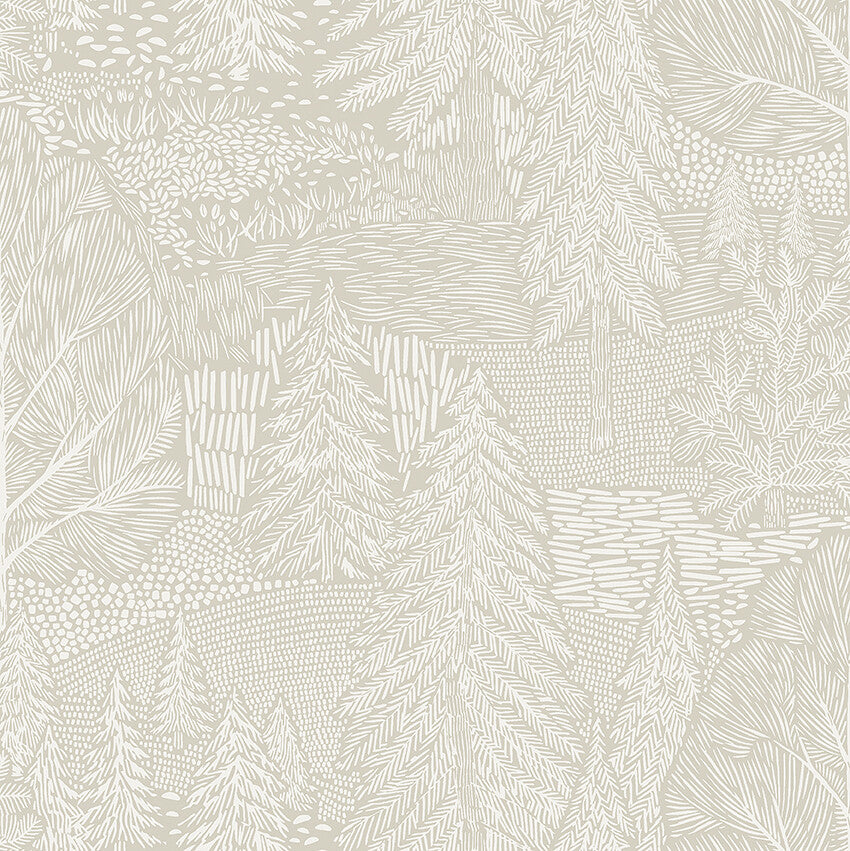 Northern Forest 4703