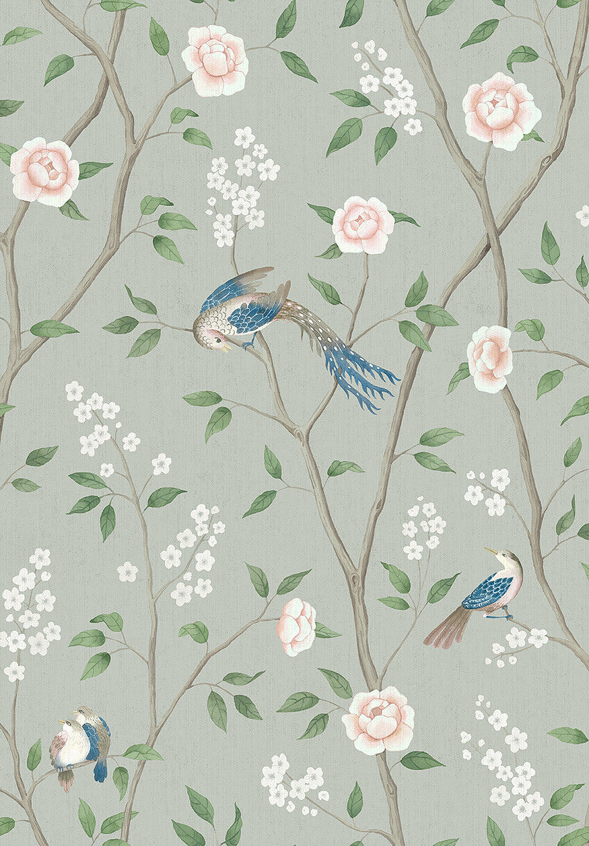 Paradise Birds 1903