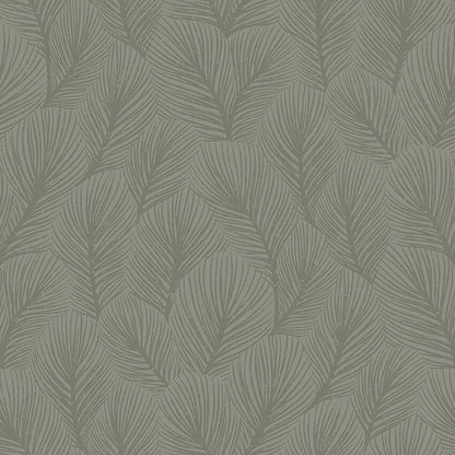 Pine Tree 4704