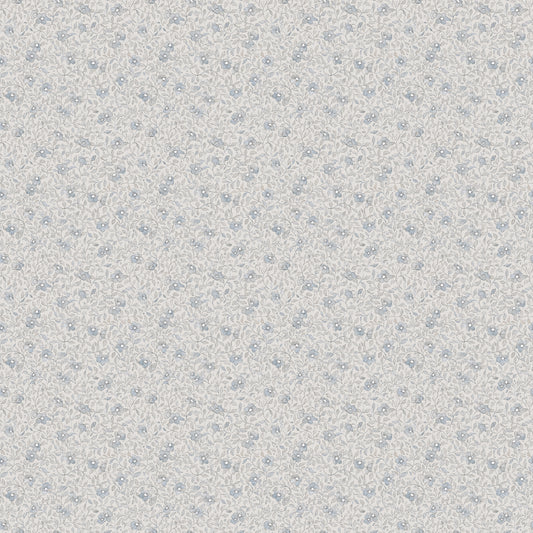 Stella S10120