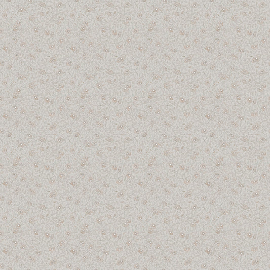 Stella S10122