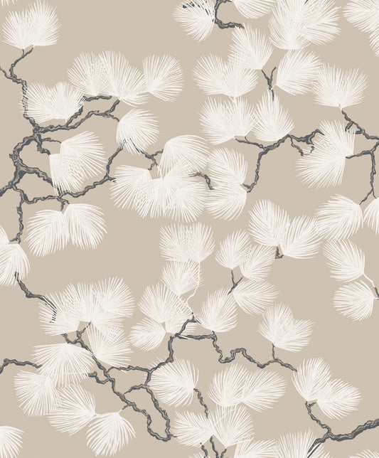 Pine S10326